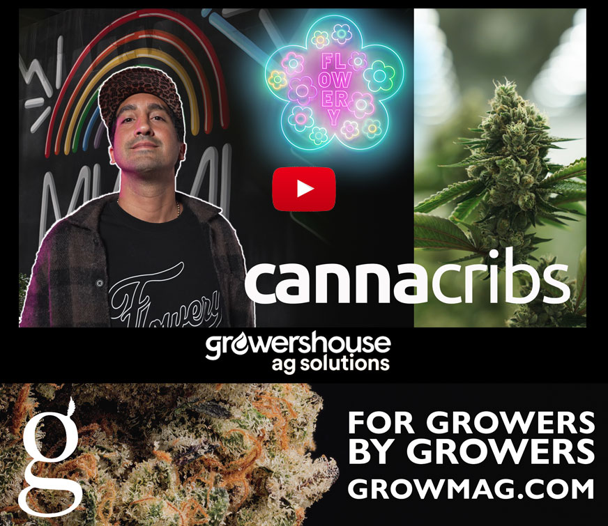 Global Cannabis Community