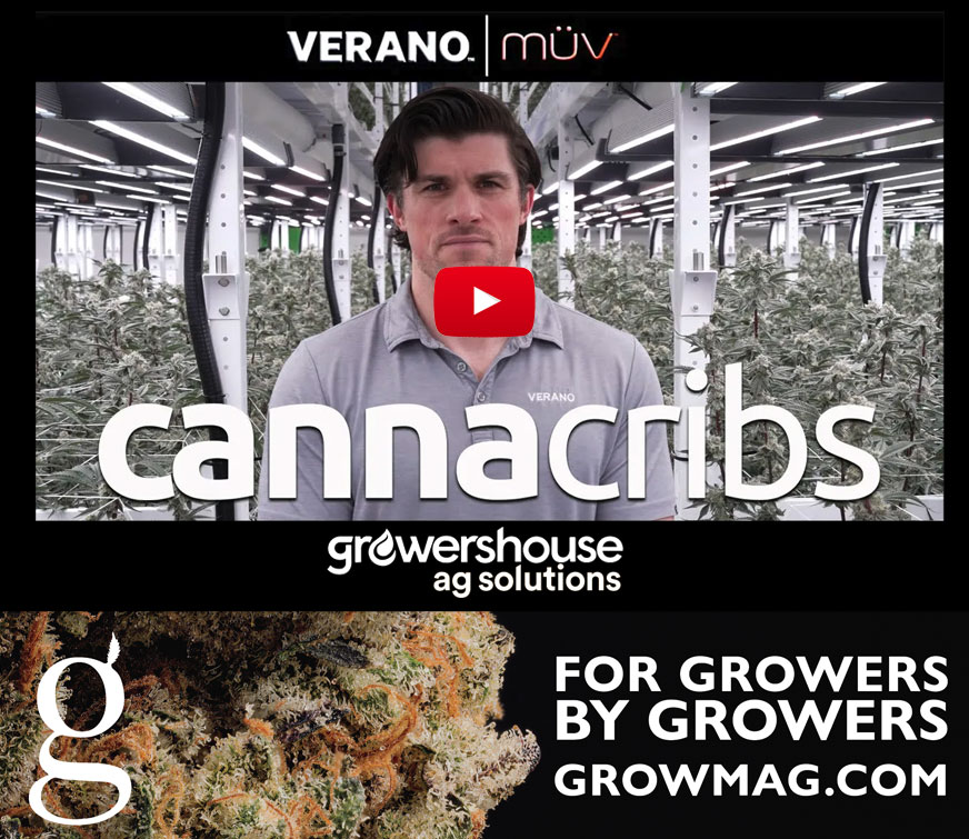 Global Cannabis Community