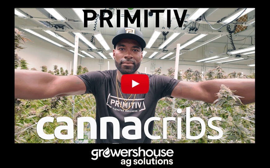 Global Cannabis Community