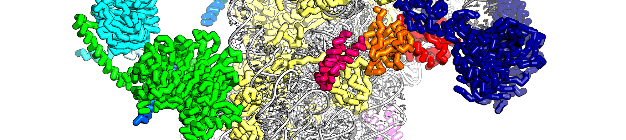 what-is-dna-what-is-a-gene-what-is-protein-growers-network