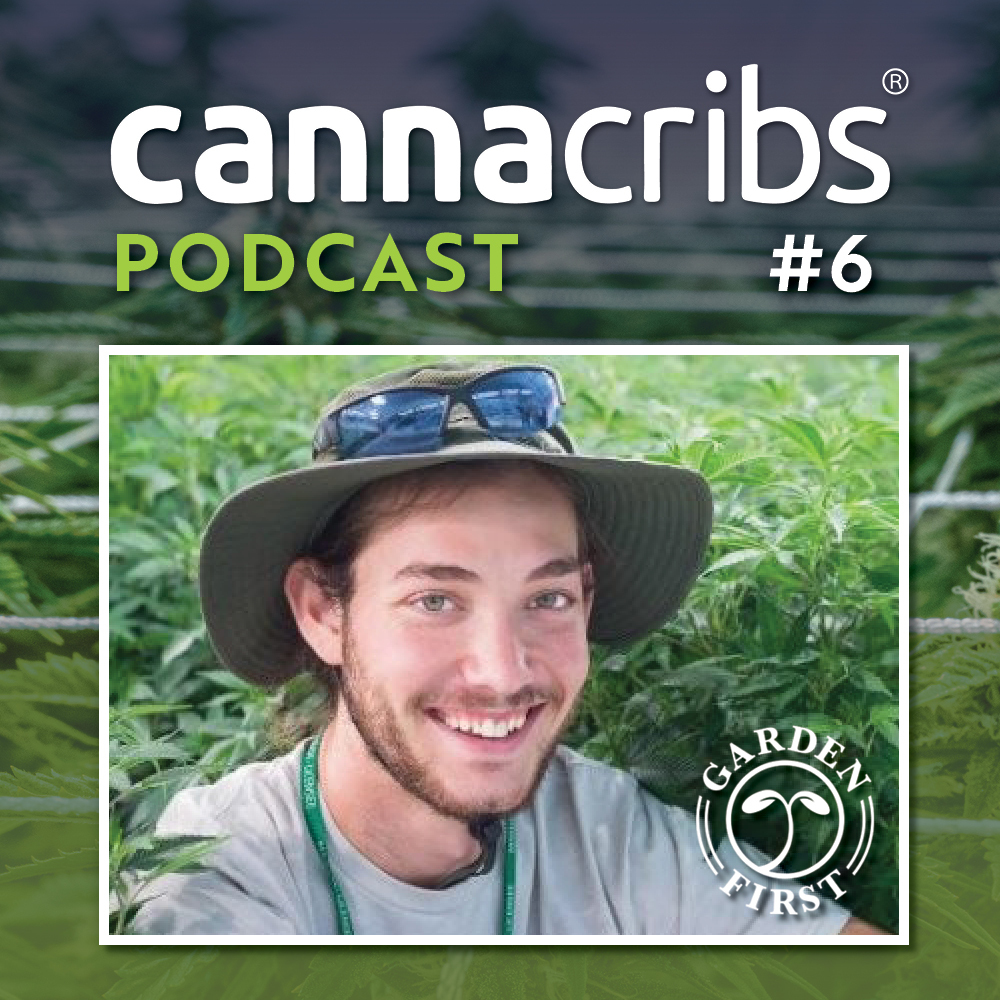 garden first cannabis